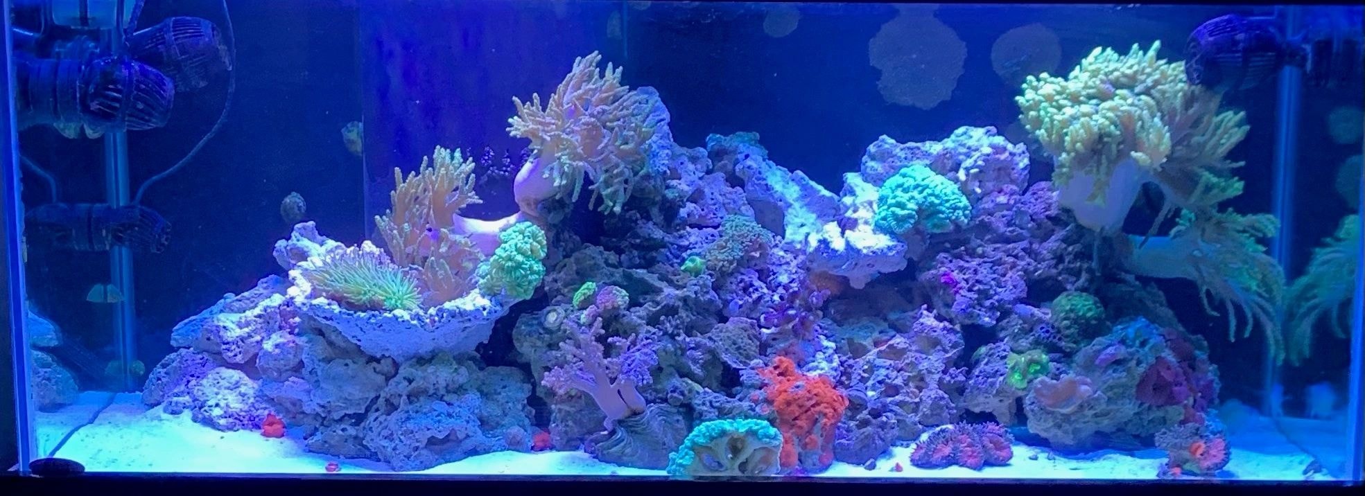 Custom aquarium installation in Central Pennsylvania