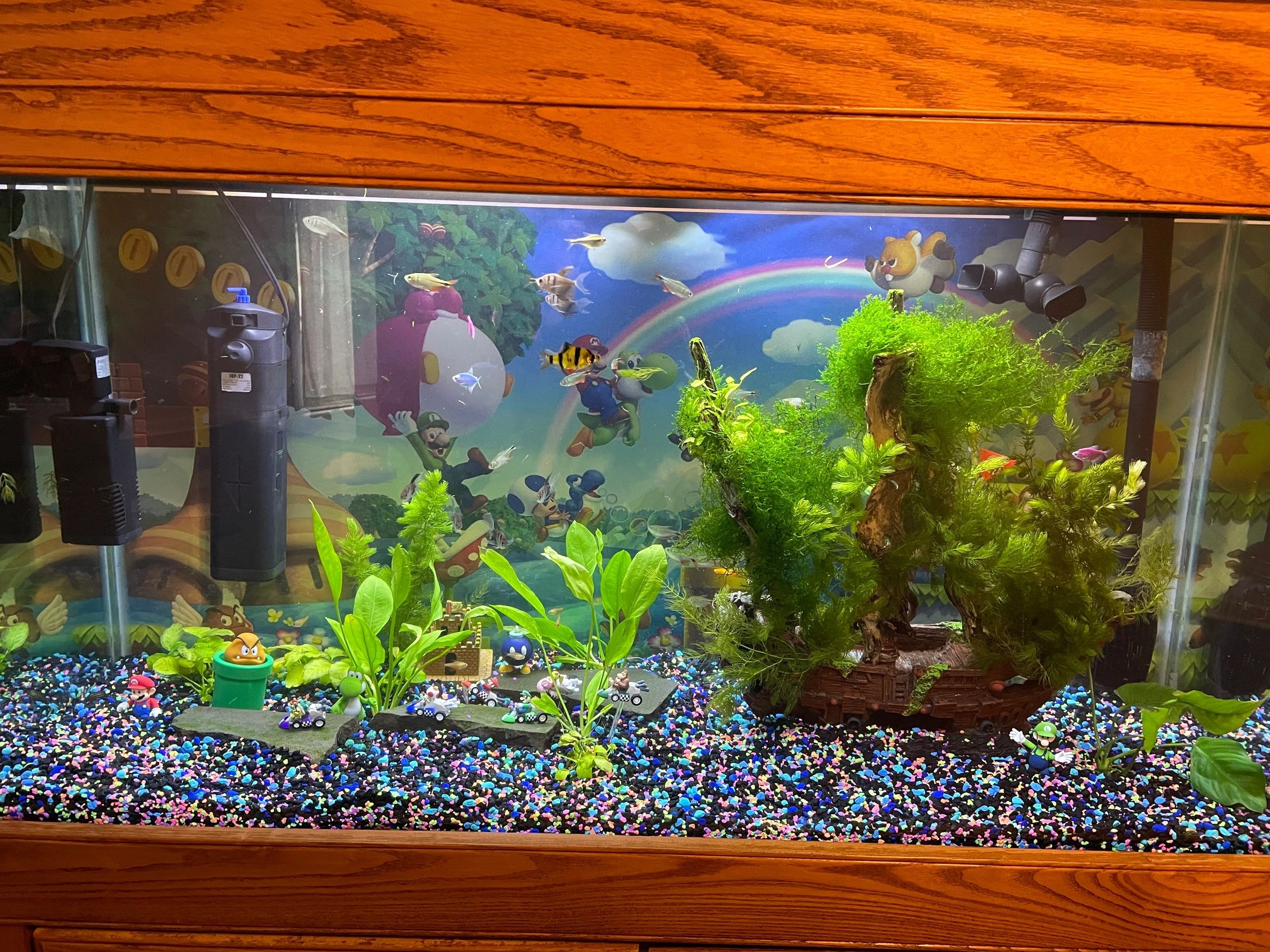Themed freshwater aquarium with colorful tropical fish and custom decorations